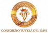 CONSORZIO TUTEKA DEL GAVI